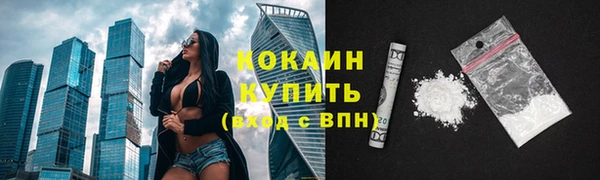 прущие грибы Остров