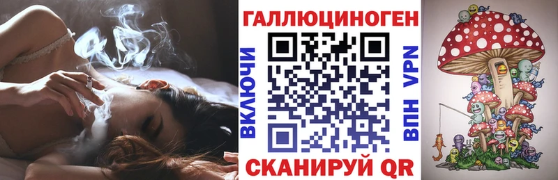 где найти наркотики  kraken онион  Псилоцибиновые грибы Cubensis  Отрадное 