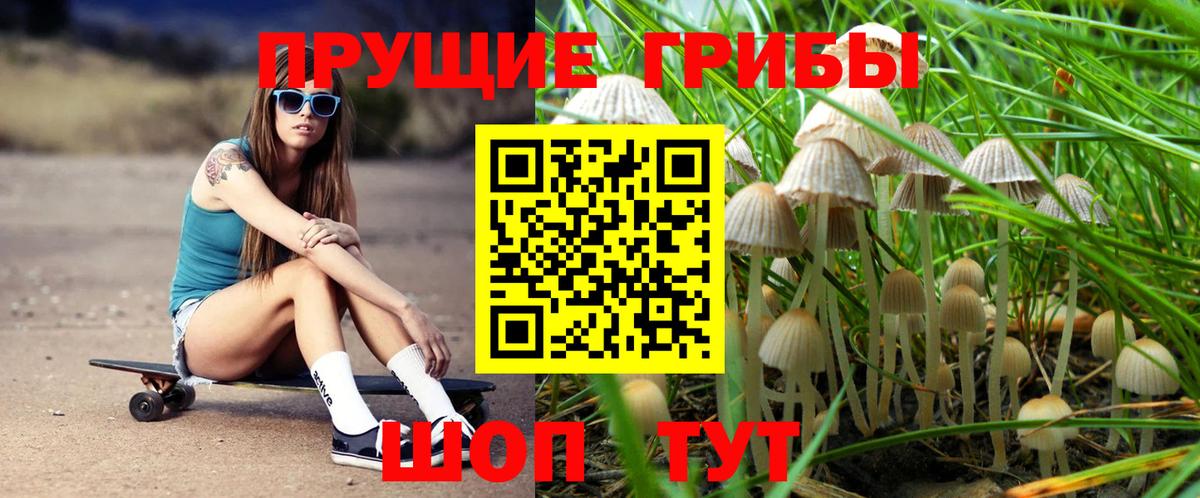 Галлюциногенные грибы Magic Shrooms Отрадное